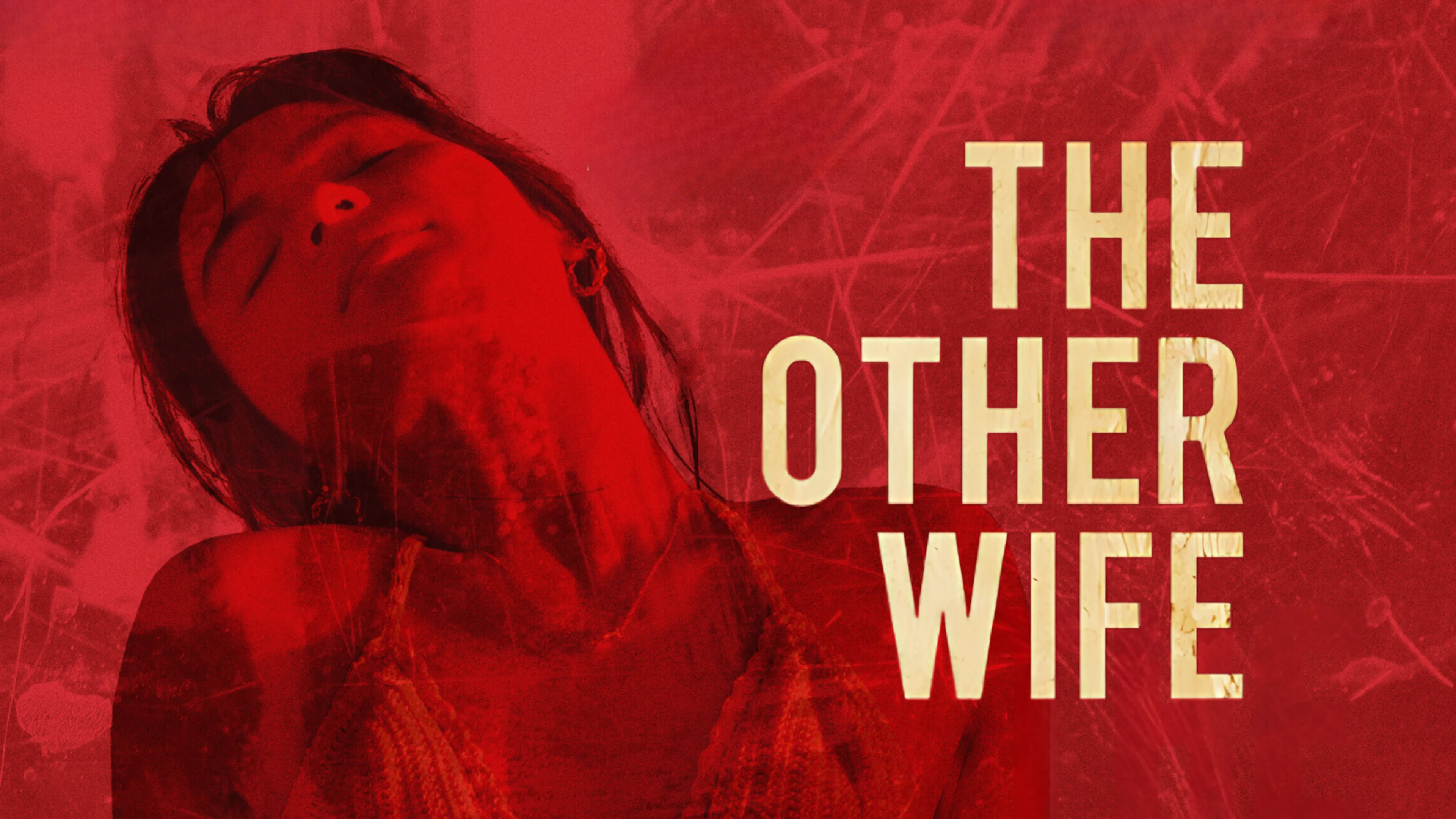 The Other Wife poster